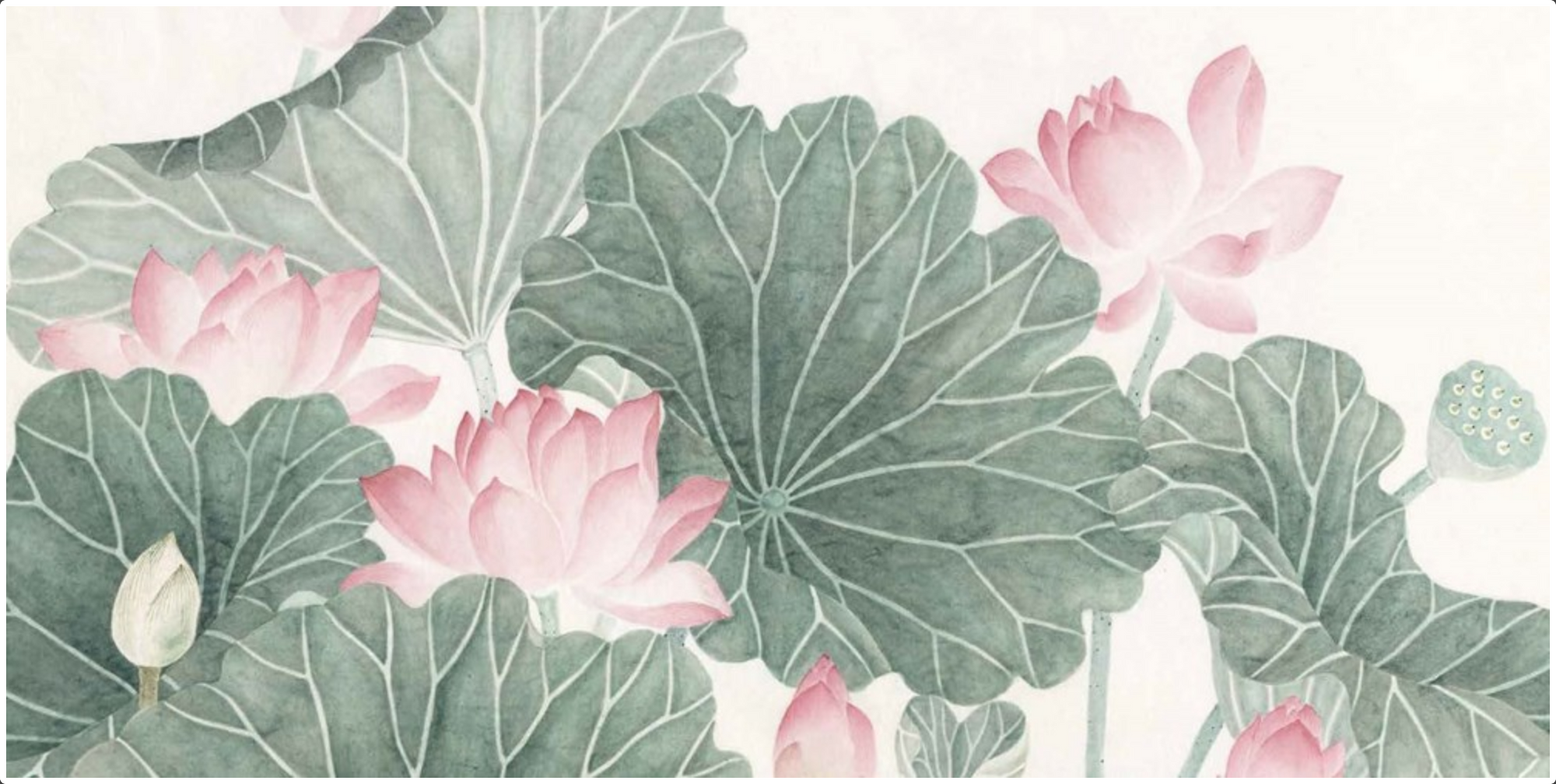 The Water Flower: The Journey of a Lotus Seed
