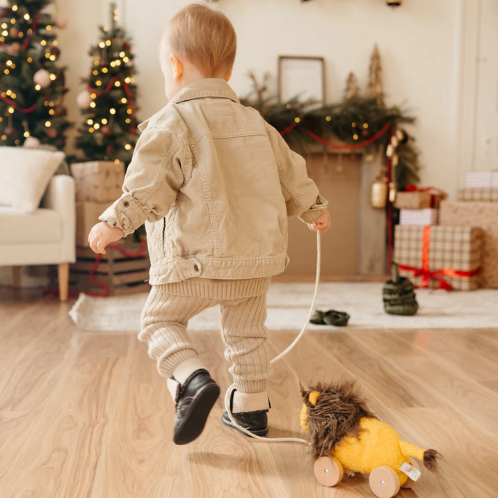 Leo // Pull-Along Toy