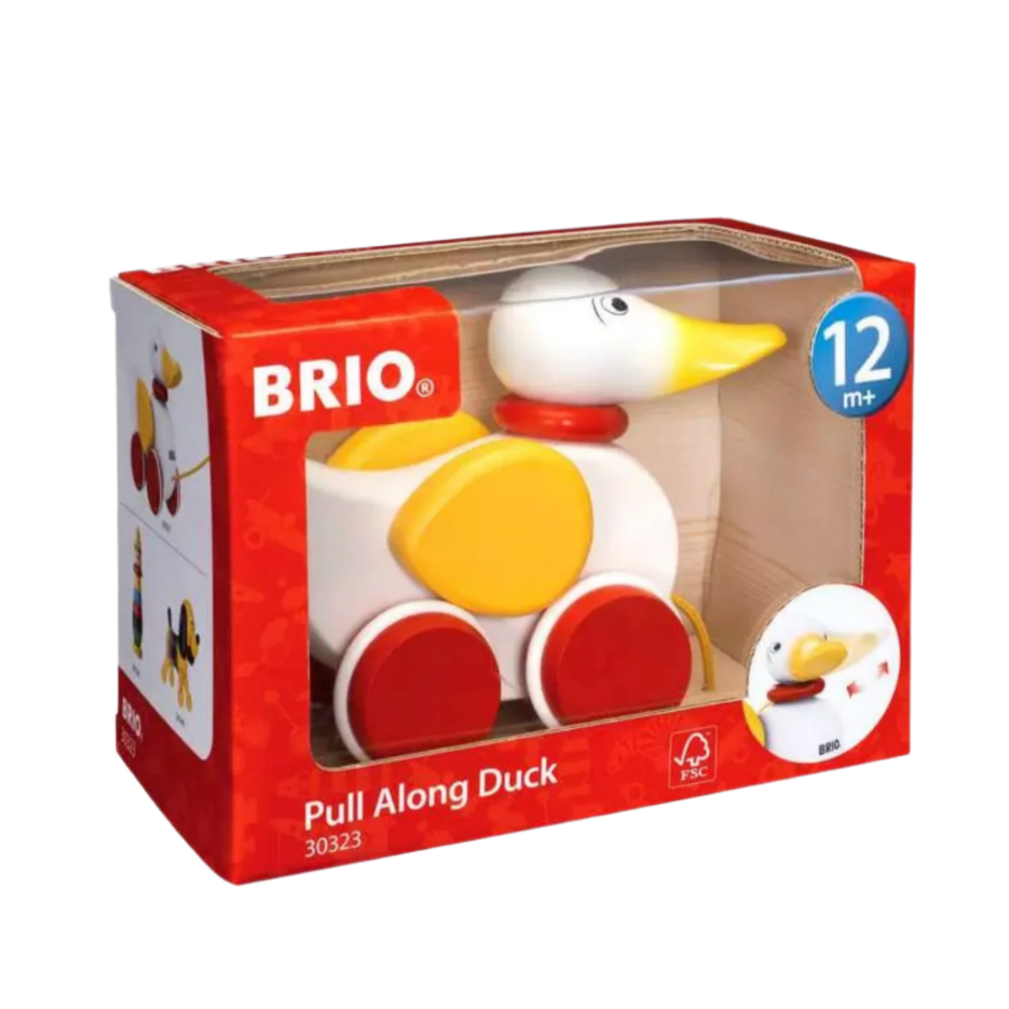 Duck Pull Along Toy