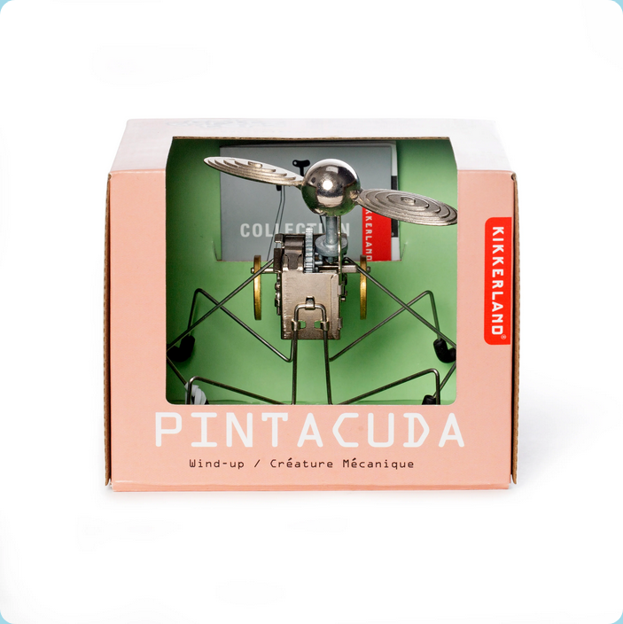 Kikkerland Pintacuda wind-up creature in packaging on a white background