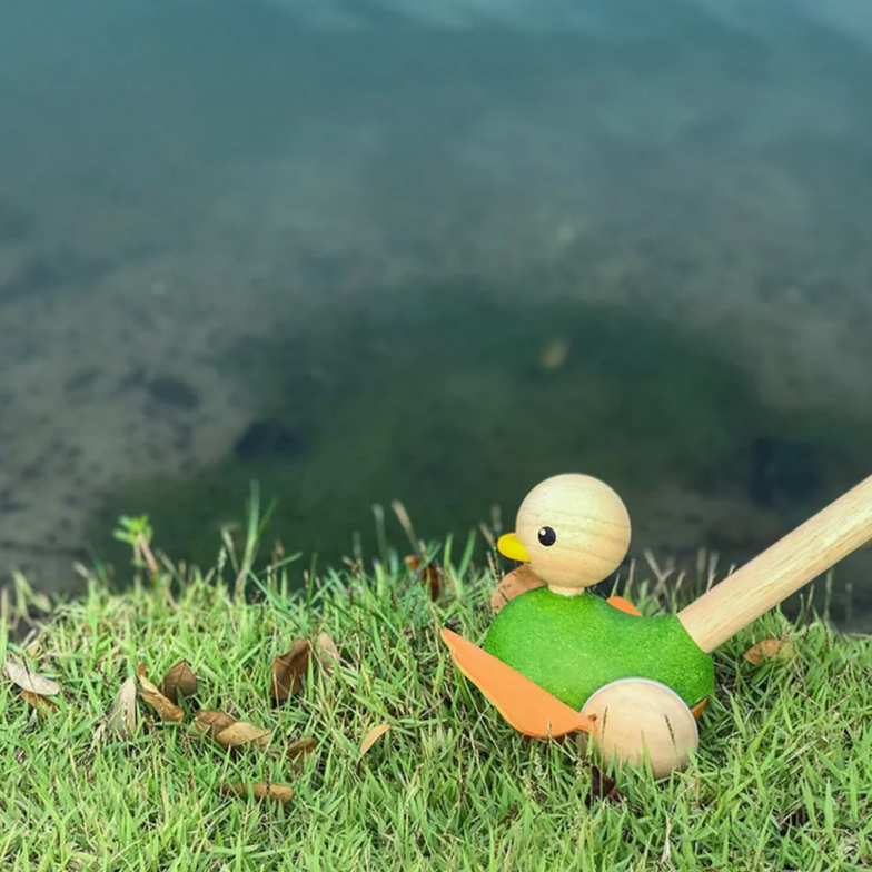 Push Along Duck