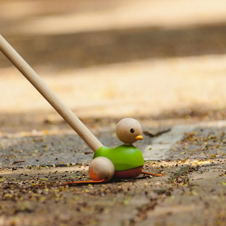 Push Along Duck