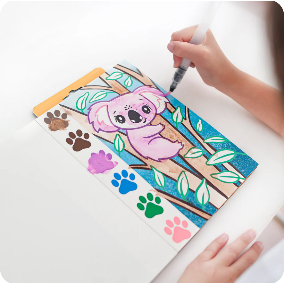 Paint a Picture Set - Wild Animals