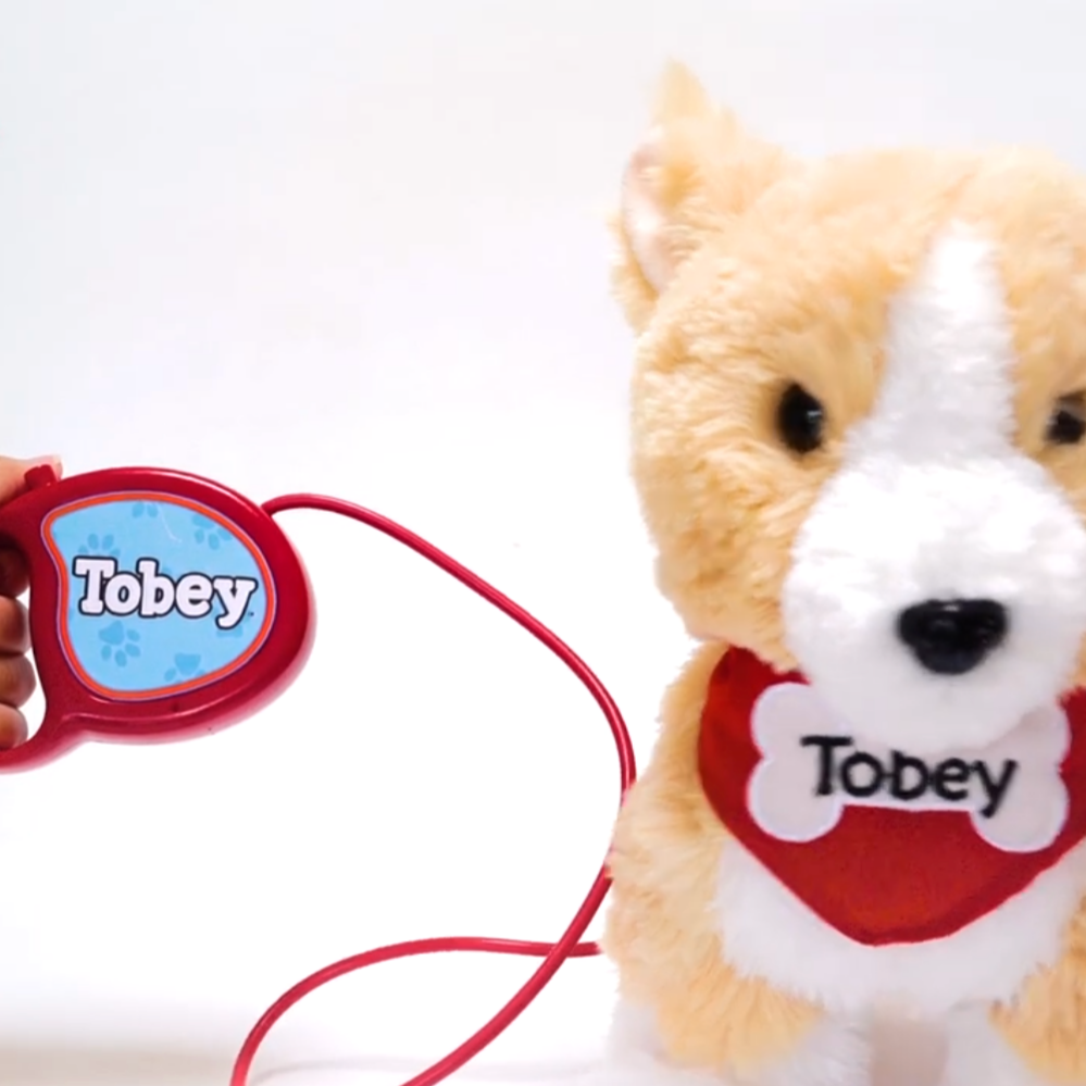 Walking Buddies - Tobey