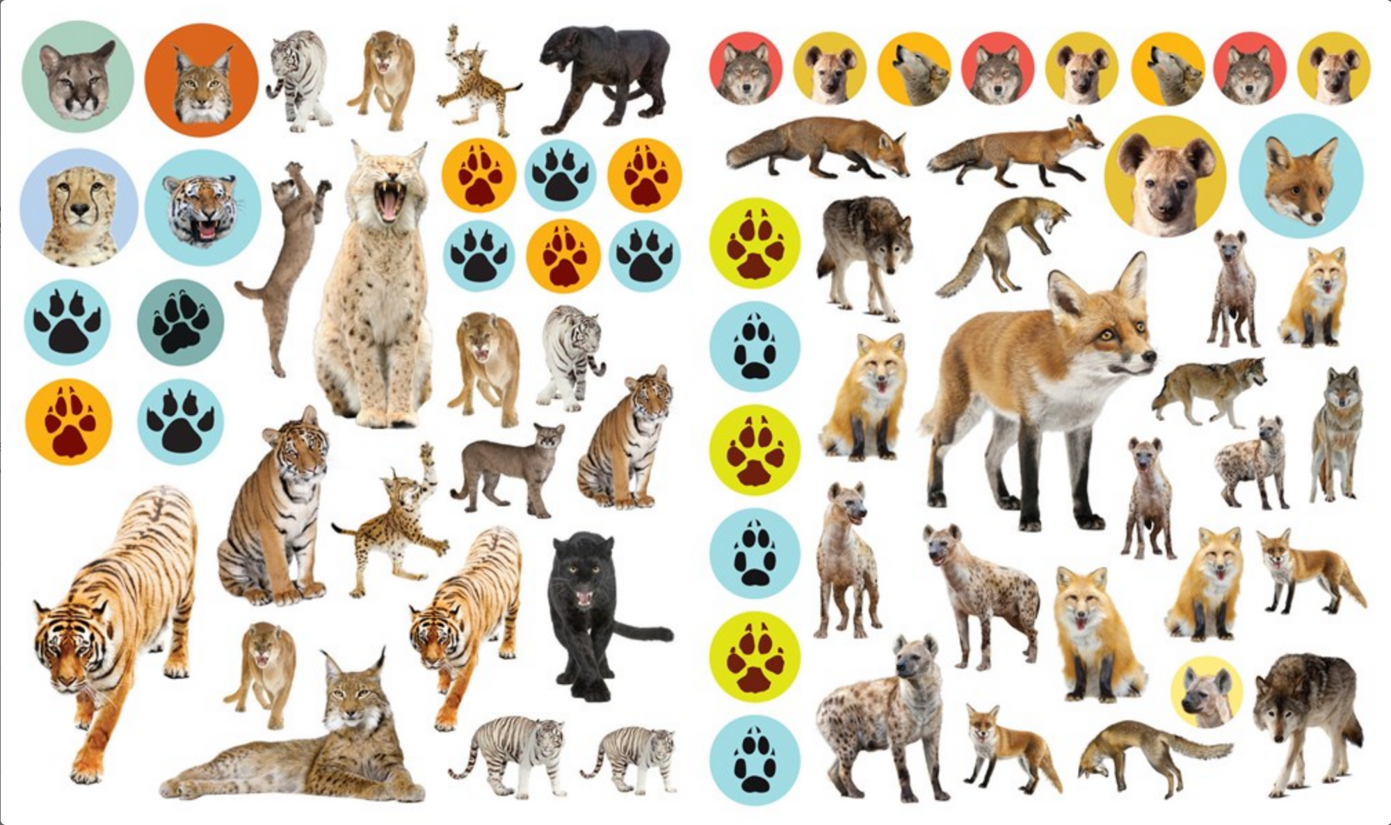 Eyelike Stickers: Wild Animals