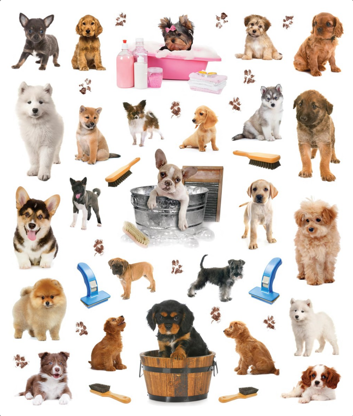 Eyelike Stickers: Puppies