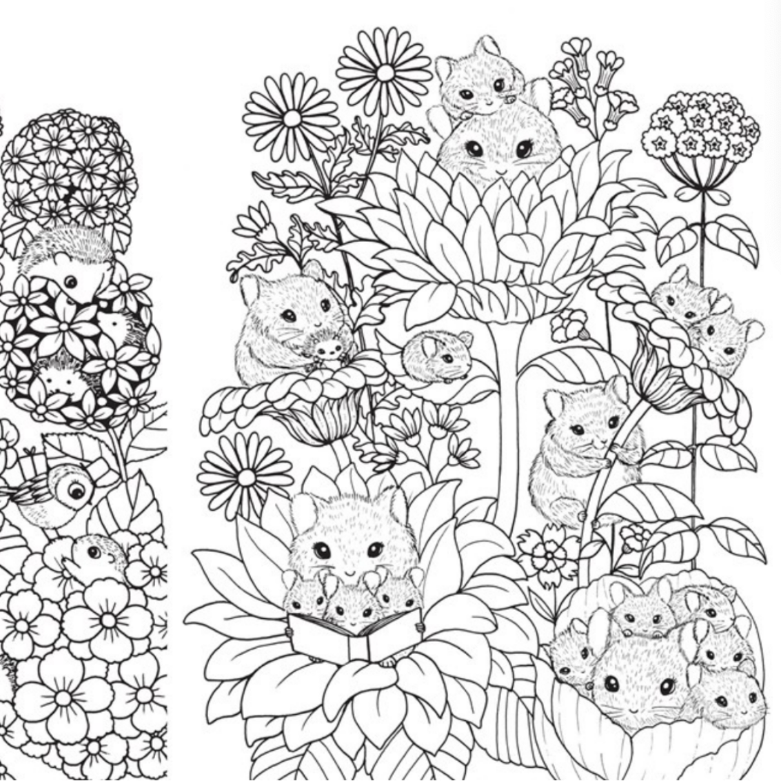 A Million Baby Animals: Little Creatures to Color