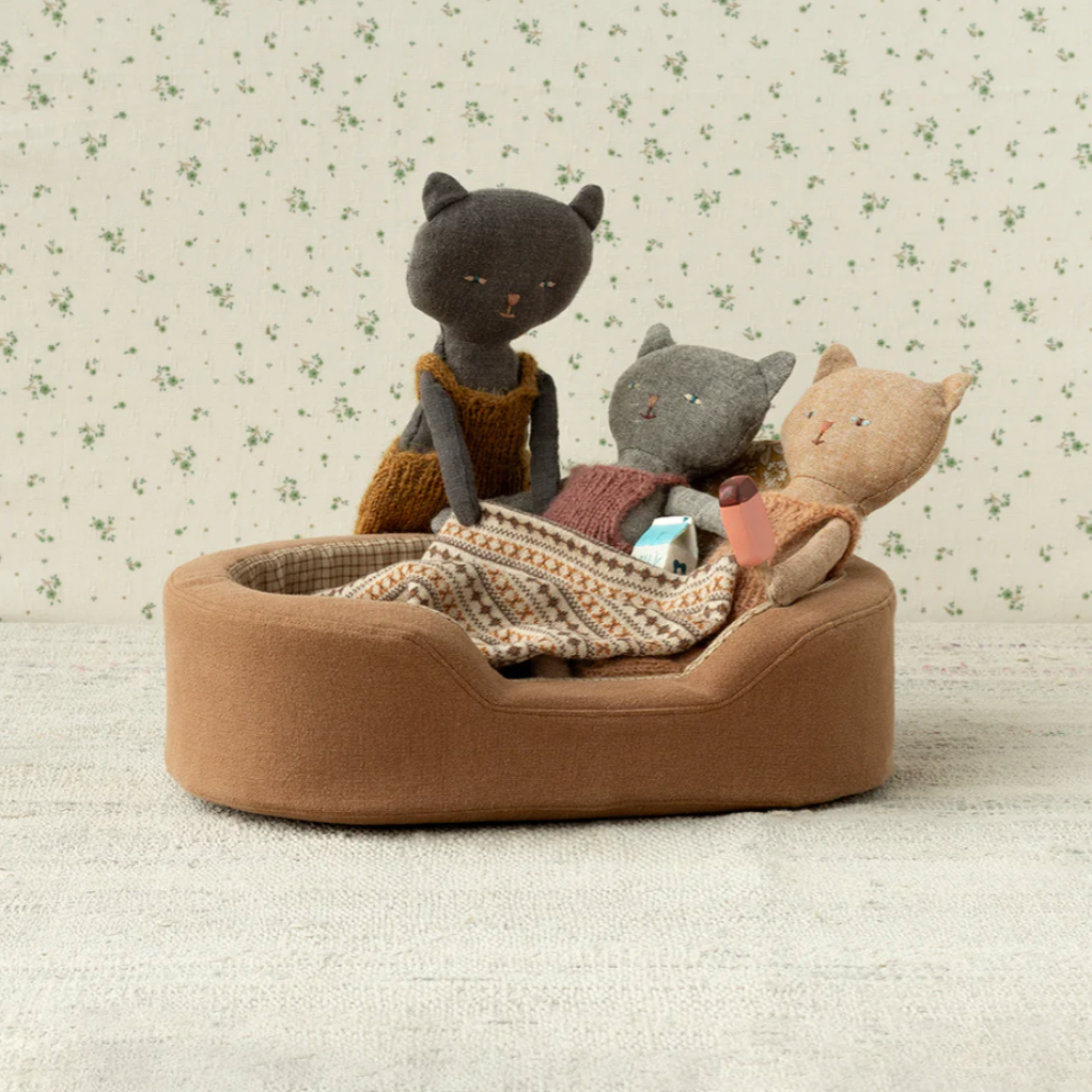 Chatons Kitten - ginger