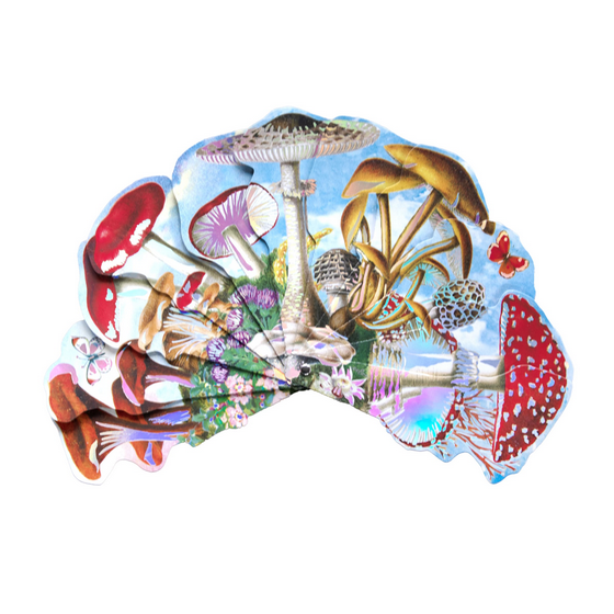 Colorful illustration on a fan of various mushrooms on a white background
