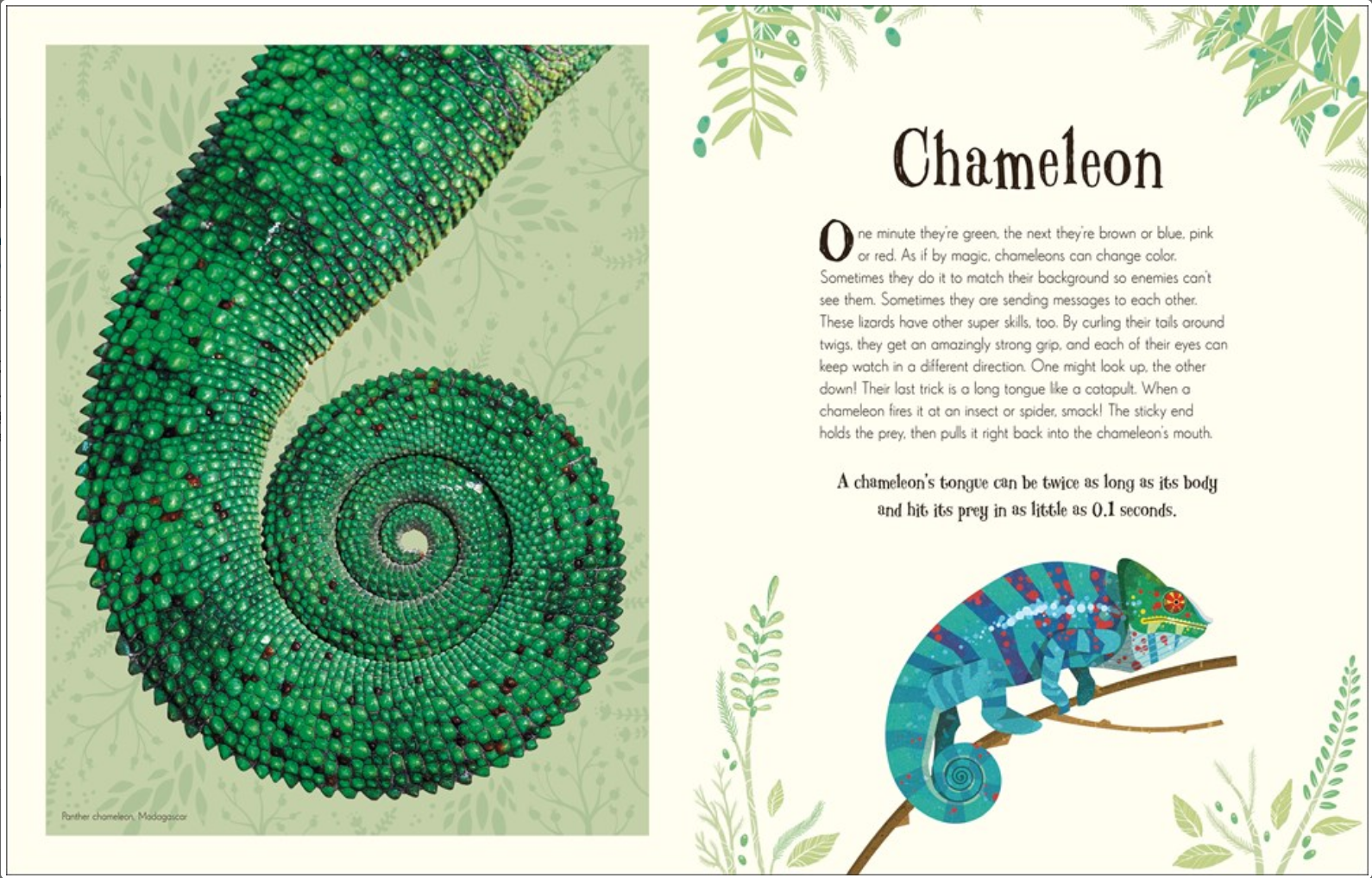 ANTHOLOGY OF INTRIGUING ANIMALs