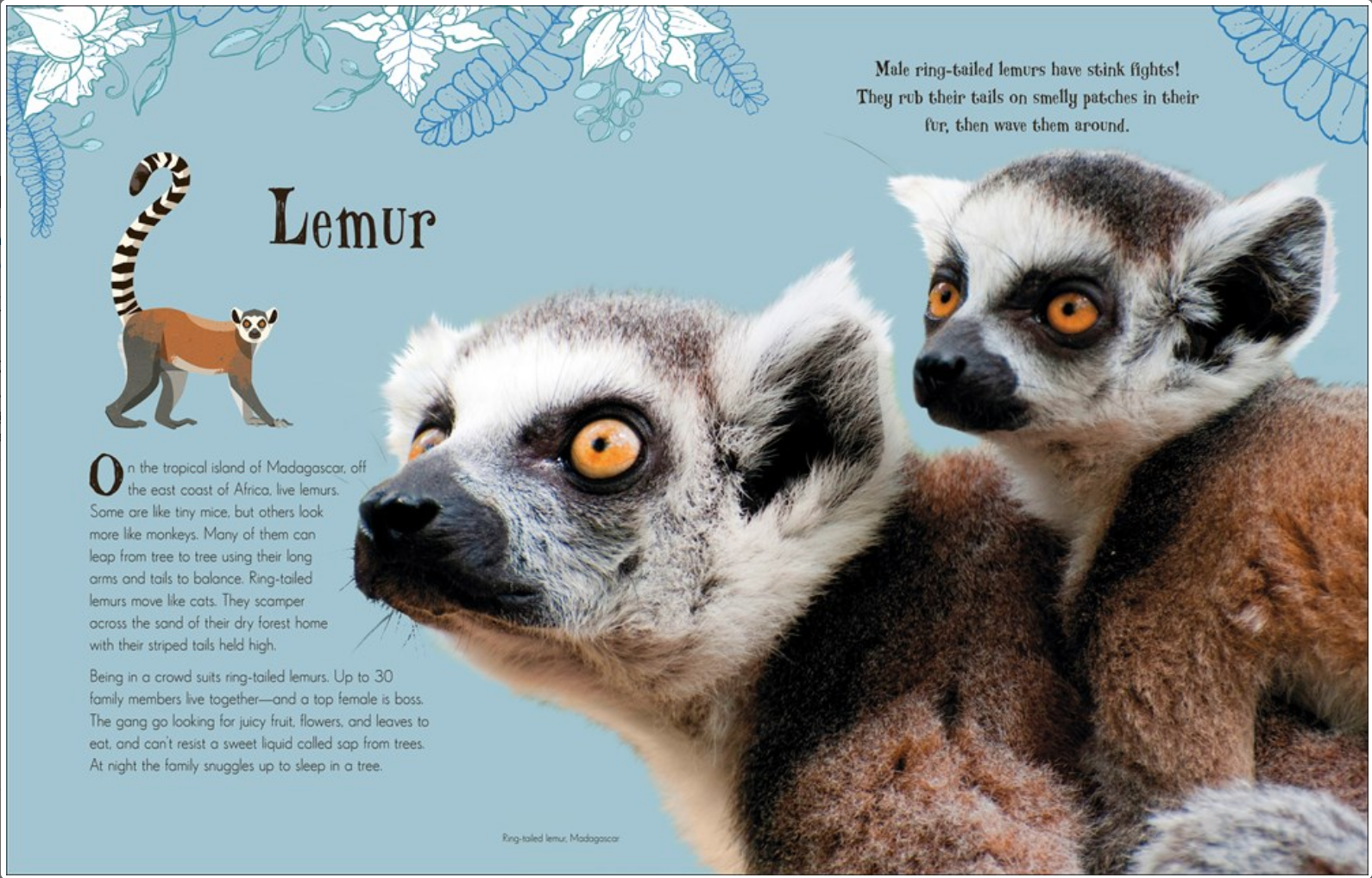 ANTHOLOGY OF INTRIGUING ANIMALs