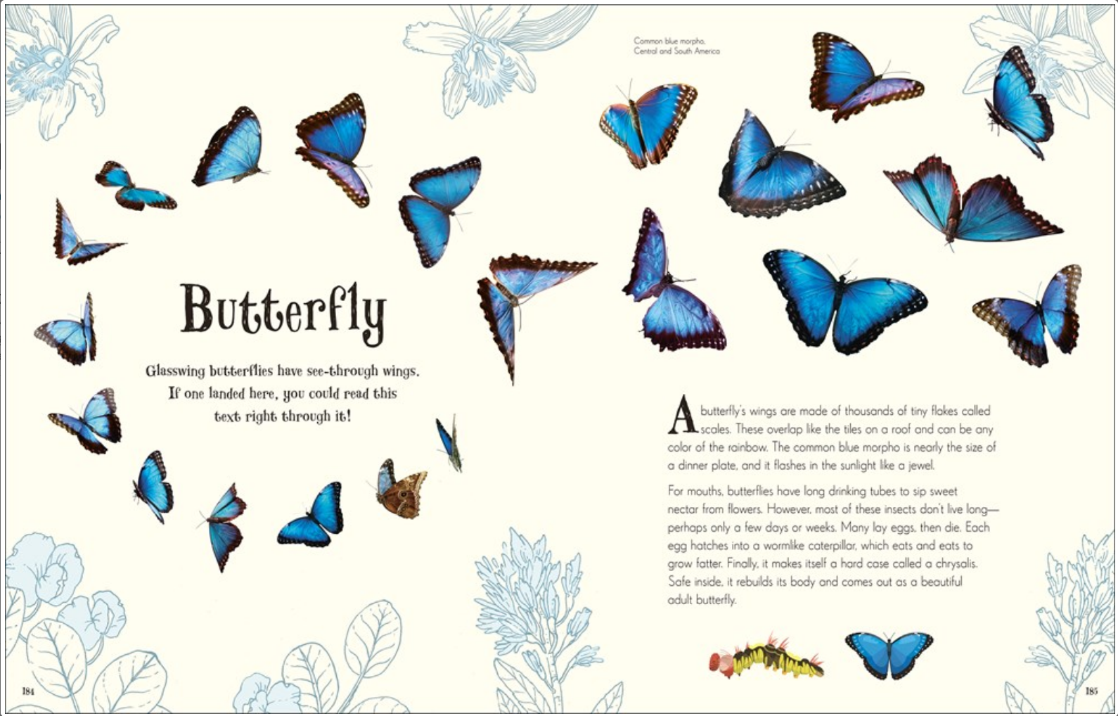 ANTHOLOGY OF INTRIGUING ANIMALs
