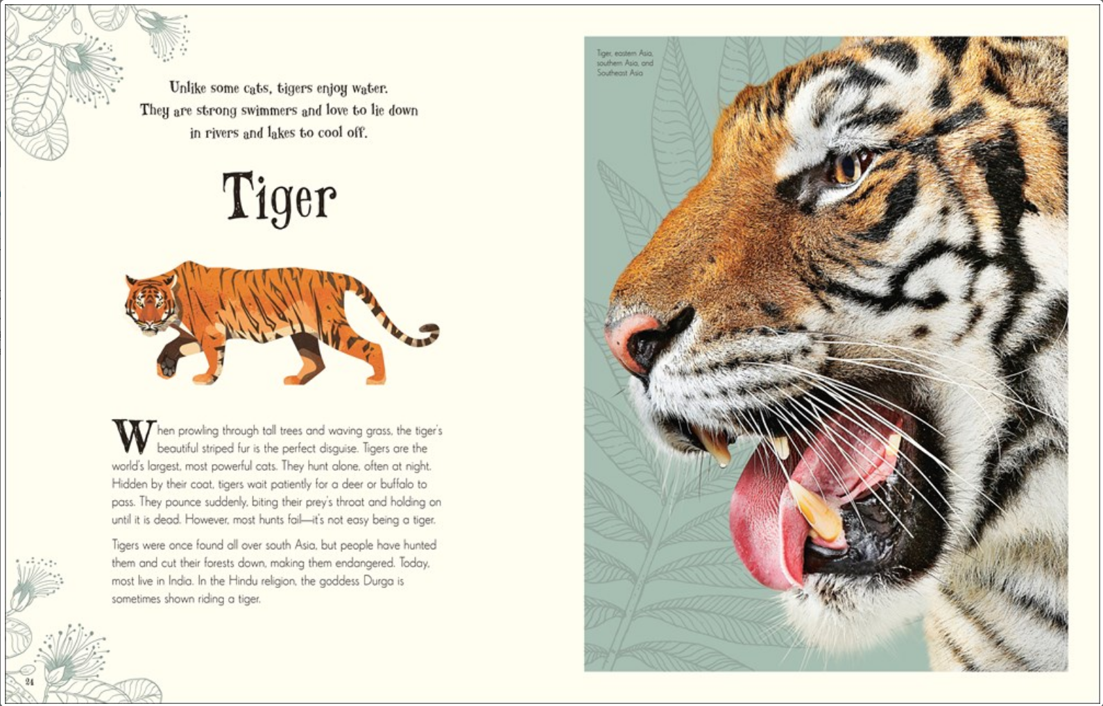 ANTHOLOGY OF INTRIGUING ANIMALs
