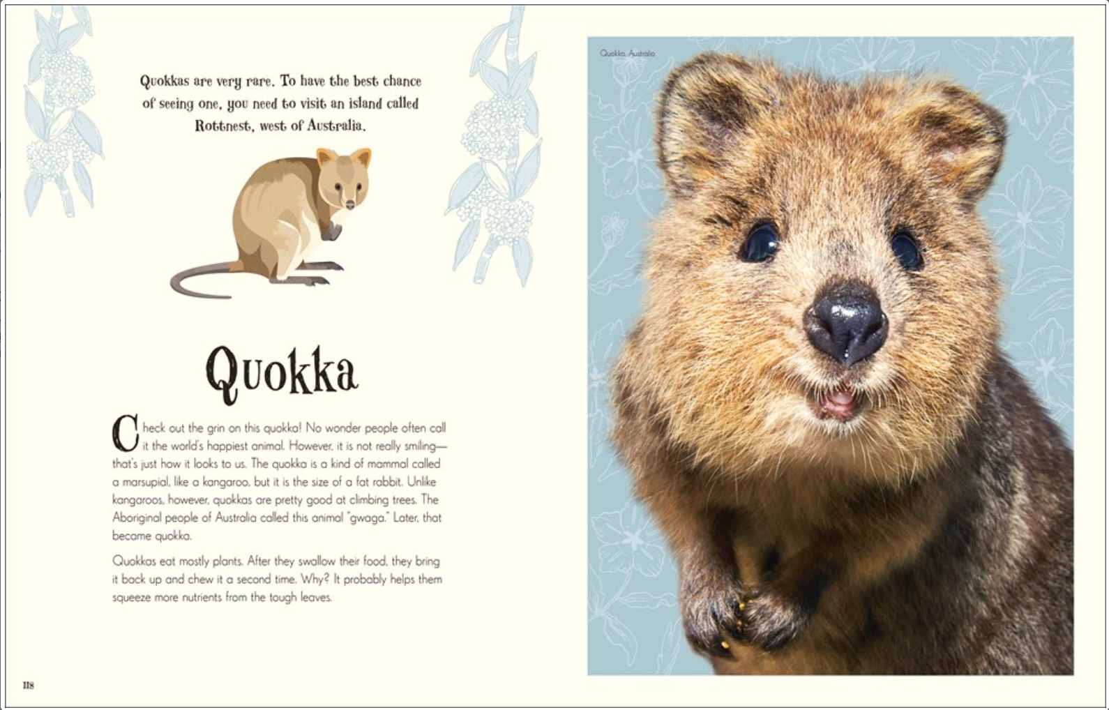 ANTHOLOGY OF INTRIGUING ANIMALs