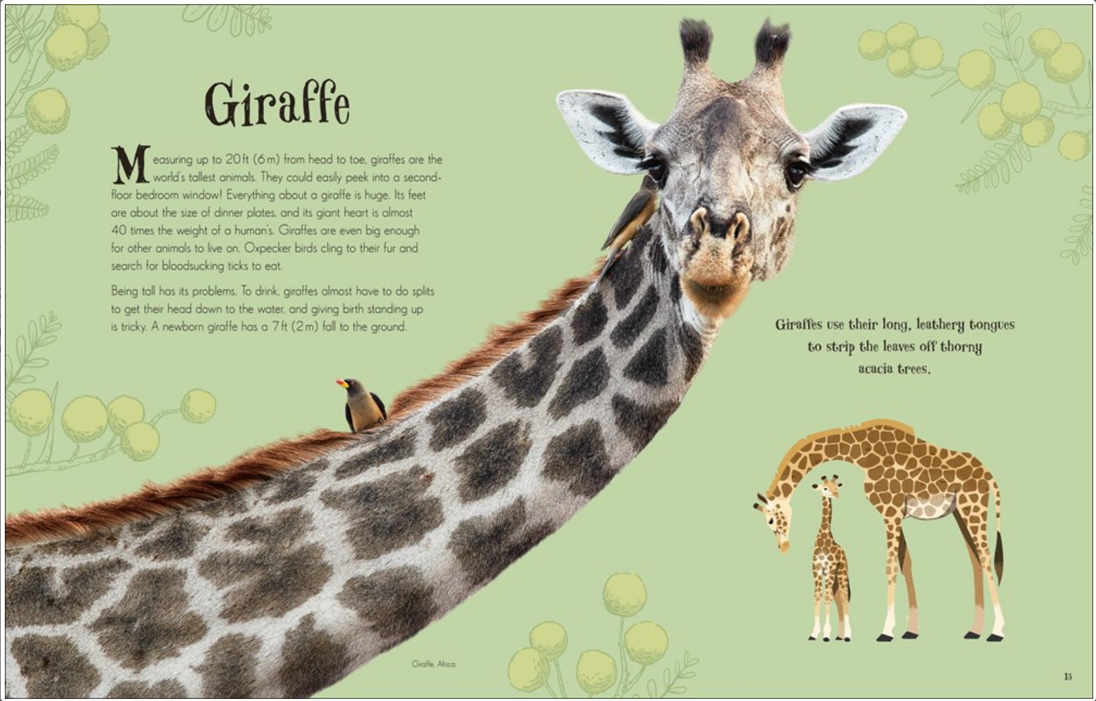 ANTHOLOGY OF INTRIGUING ANIMALs