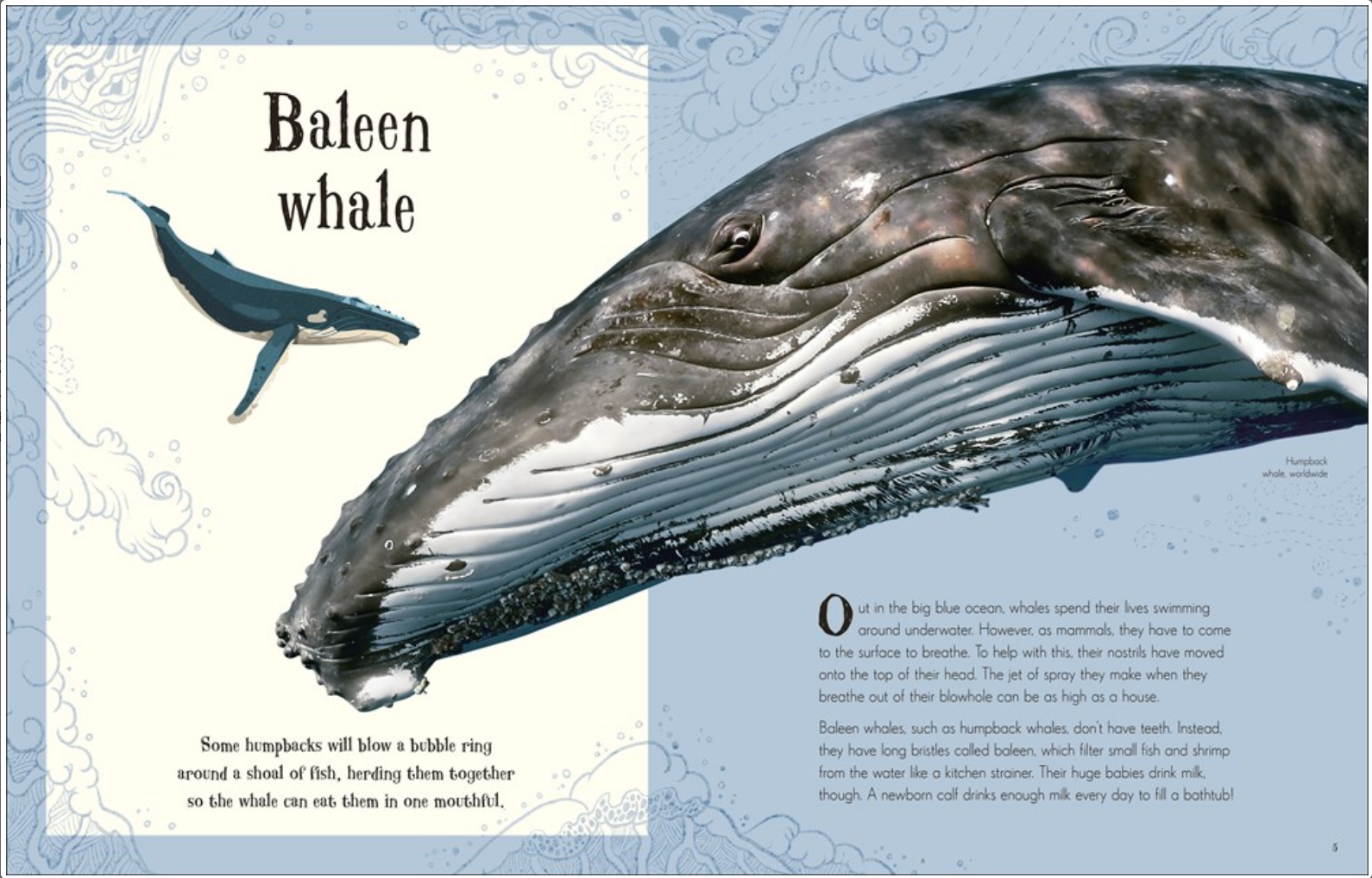ANTHOLOGY OF INTRIGUING ANIMALs