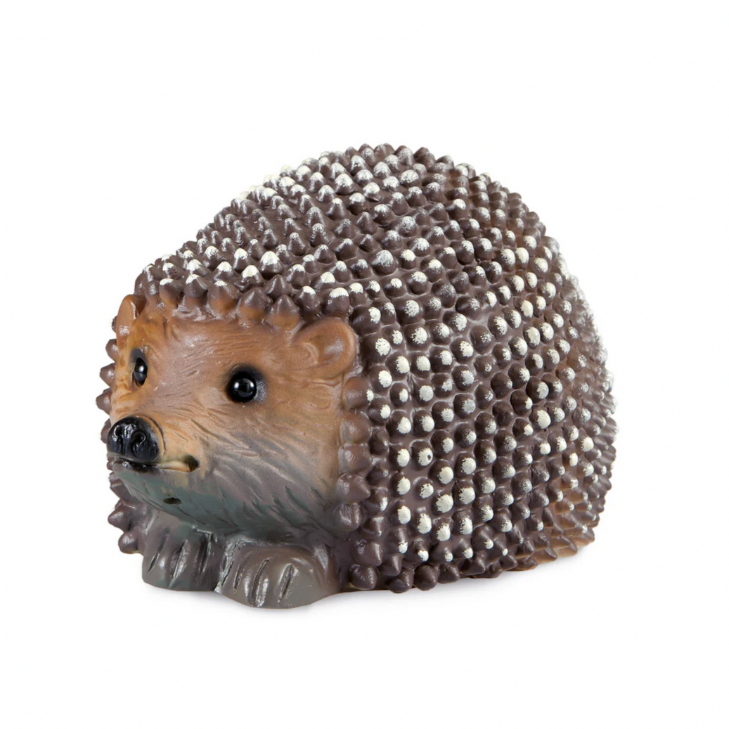 Hedgehog light on a white background