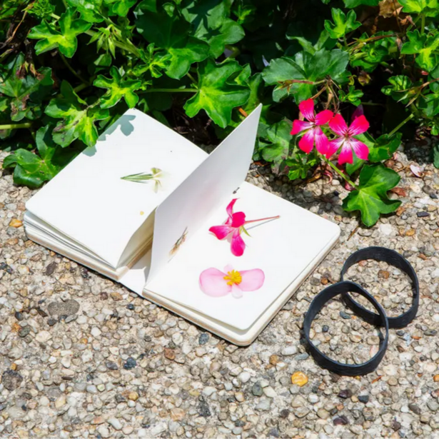 Field Flower Press