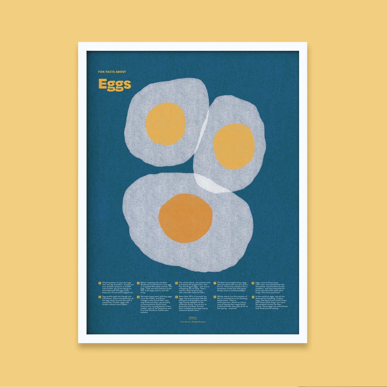 Egg Fun Facts Print - 18 X 24