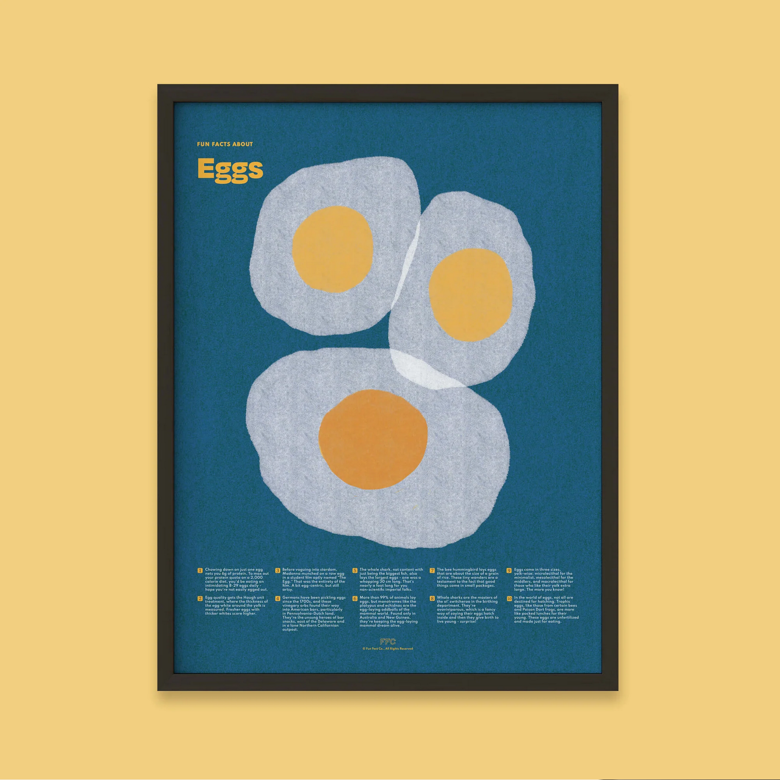 Egg Fun Facts Print - 18 X 24