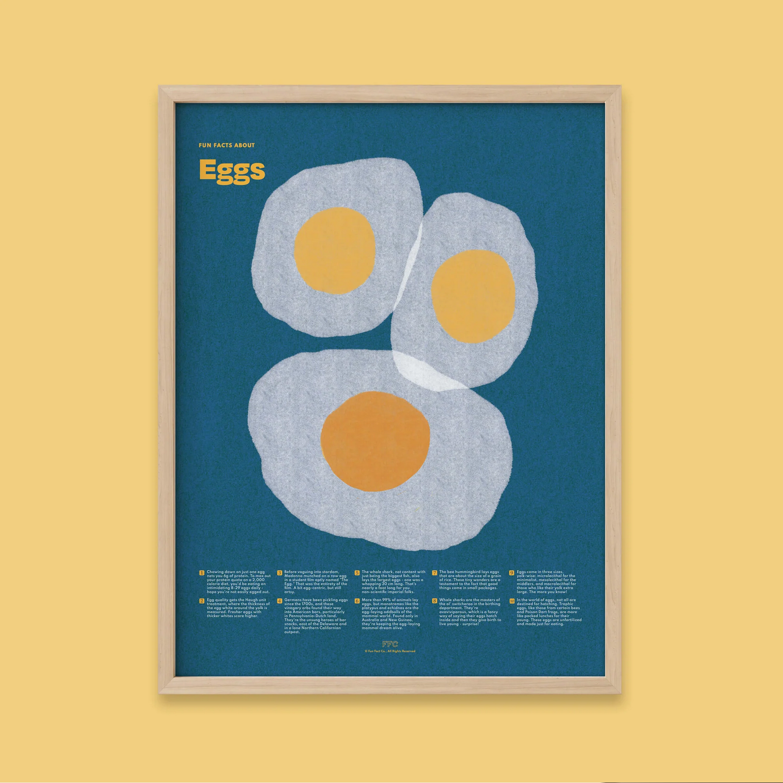 Egg Fun Facts Print - 18 X 24