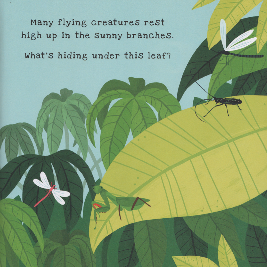 Illustration of a leaf with insects and text about flying creatures in a jungle setting