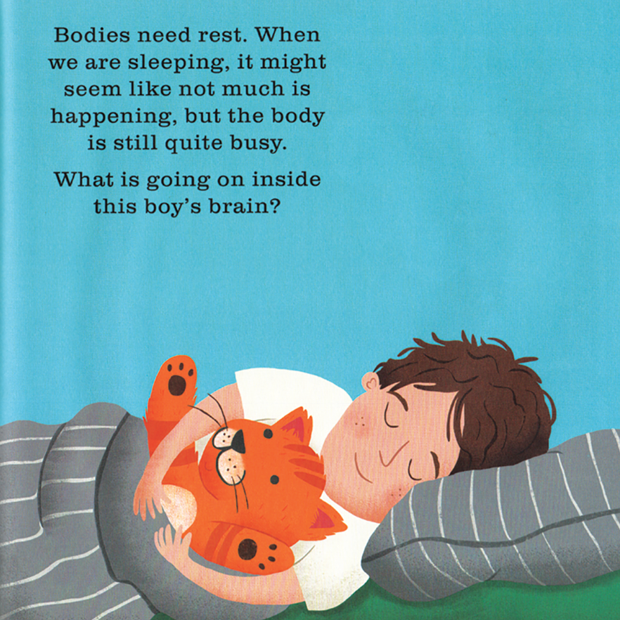 Illustration of a child sleeping with a stuffed tiger, accompanied by text about sleep and brain activity.
