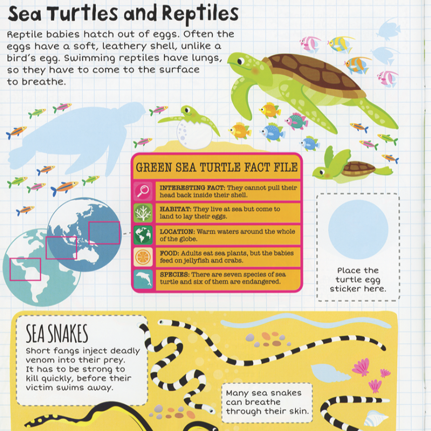 Ocean Sticker Facts