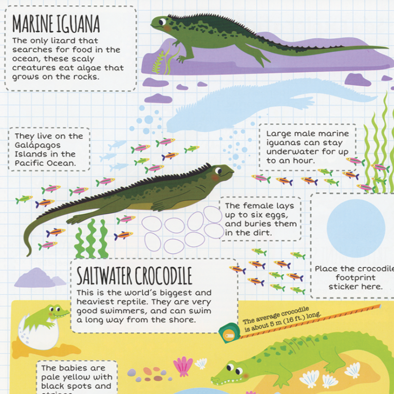 Ocean Sticker Facts