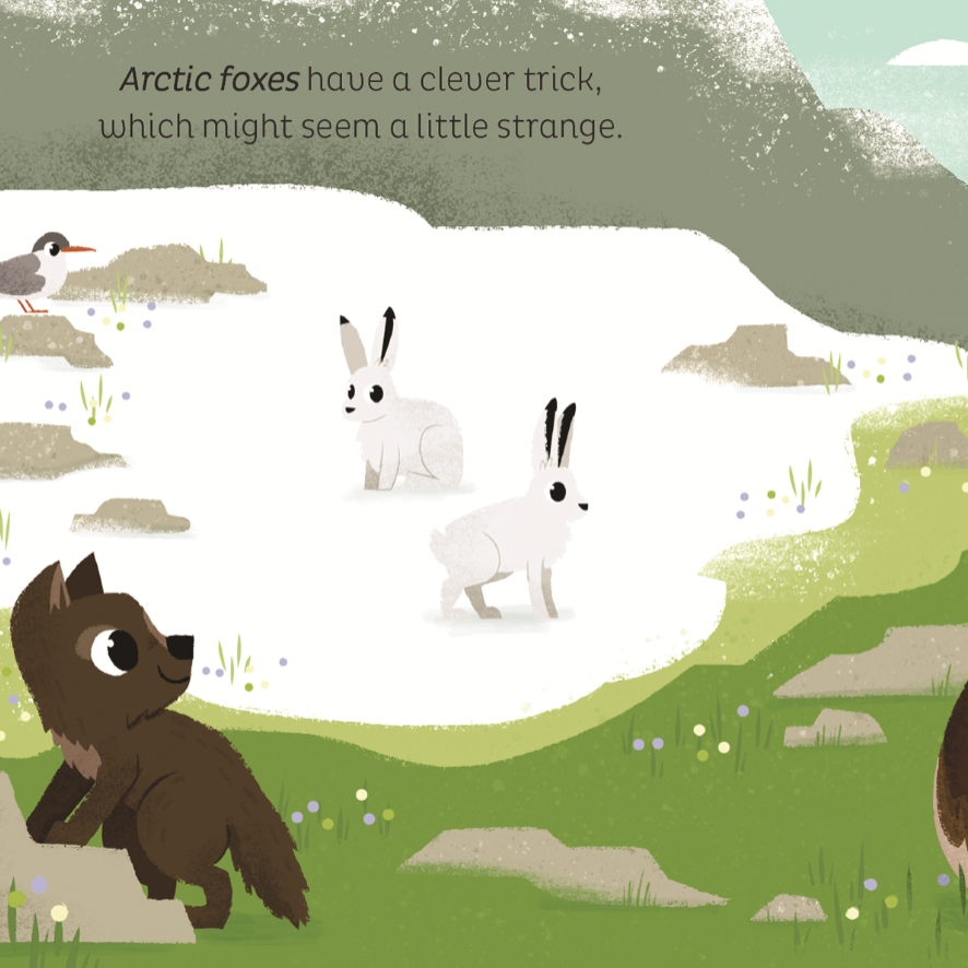 Illustration of an Arctic fox and two white animals in a natural setting with text about Arctic foxes.