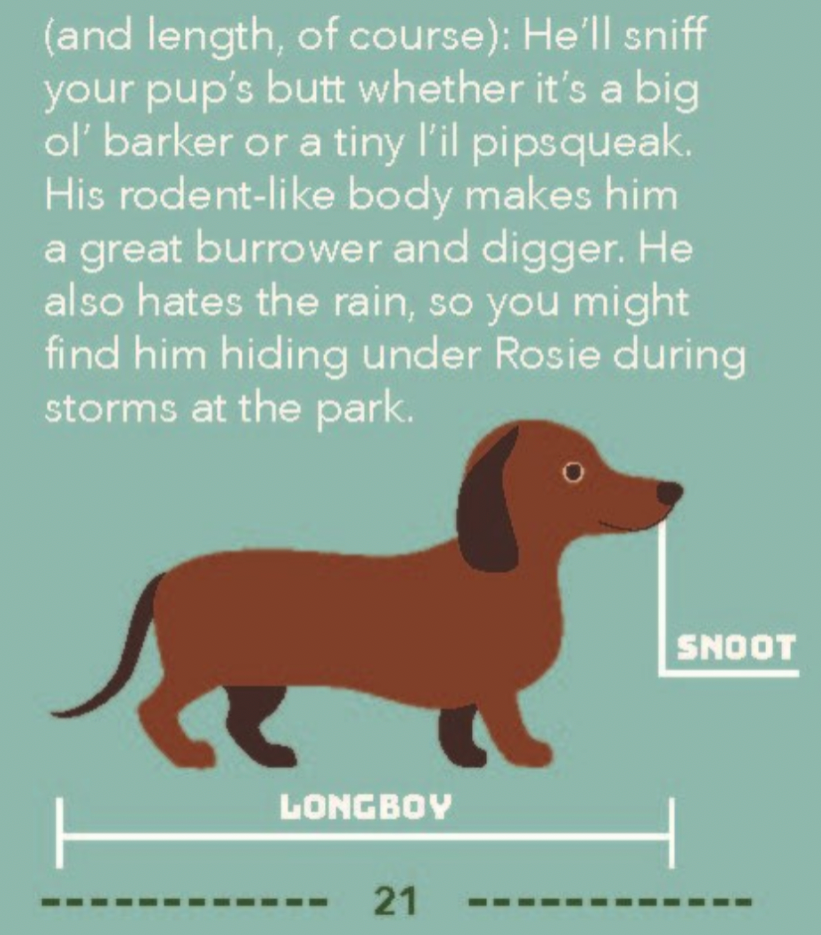 Illustration of a dachshund with text on a green background