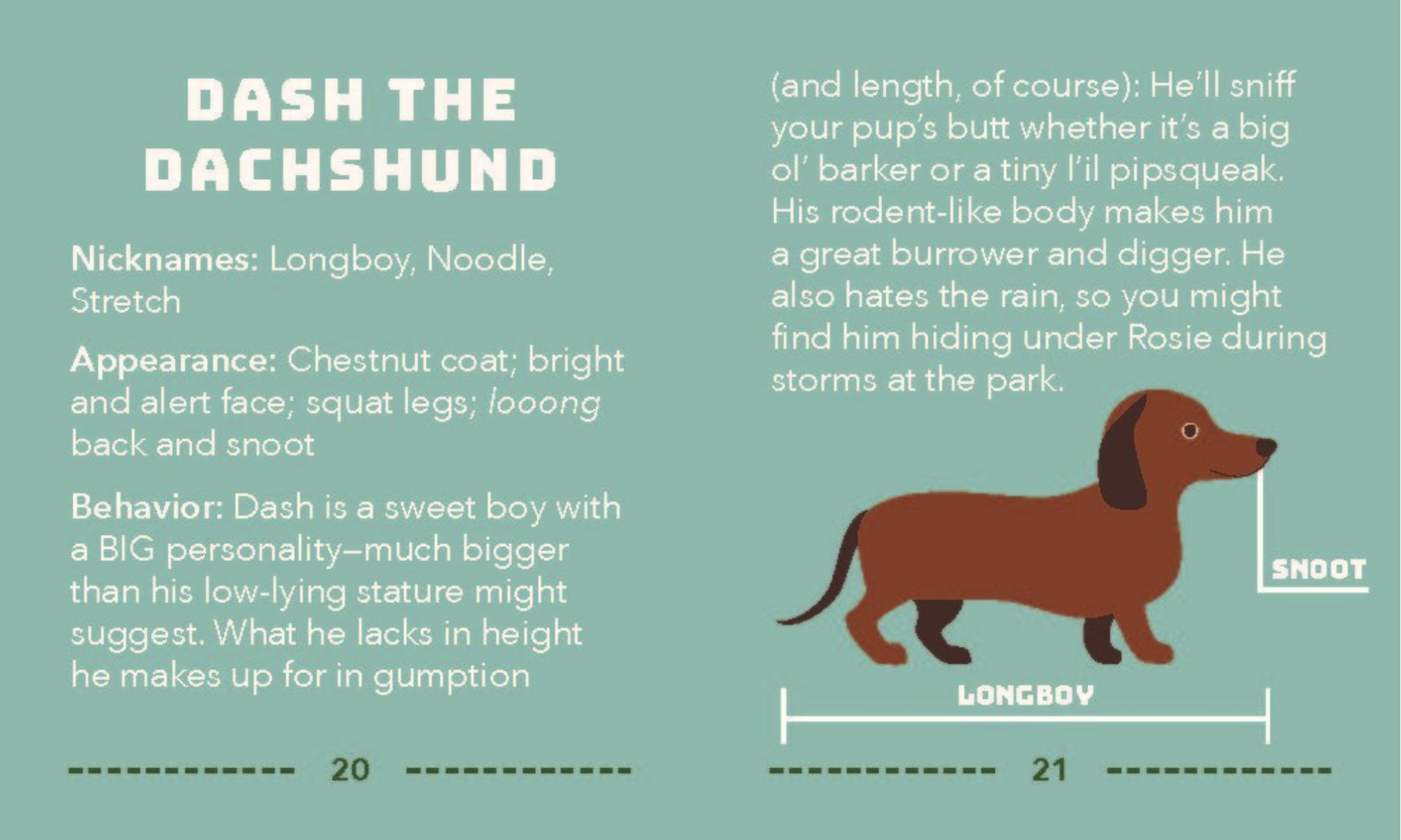 Character profile of Dash the Dachshund with text and illustration on a teal background