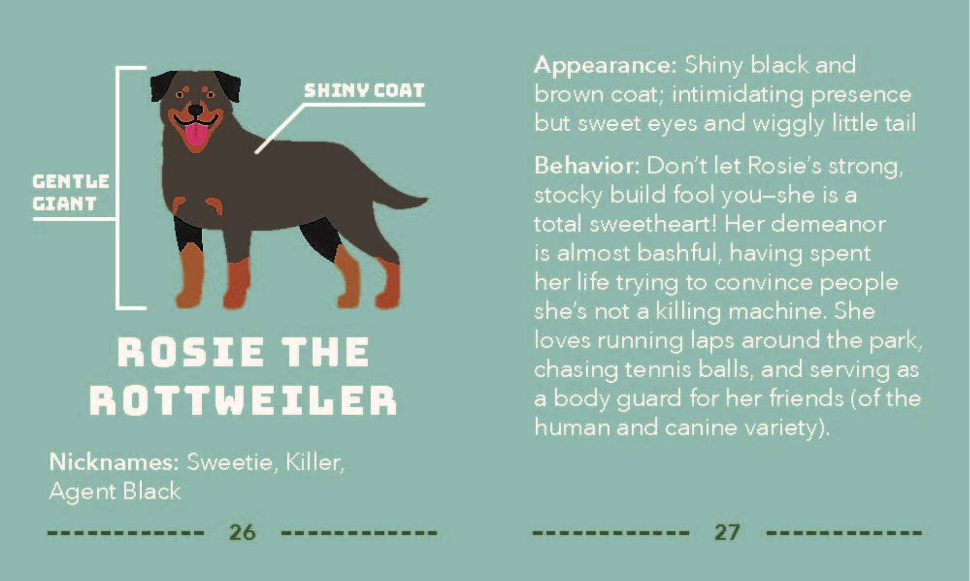 Illustration of a Rottweiler with descriptive text on a green background