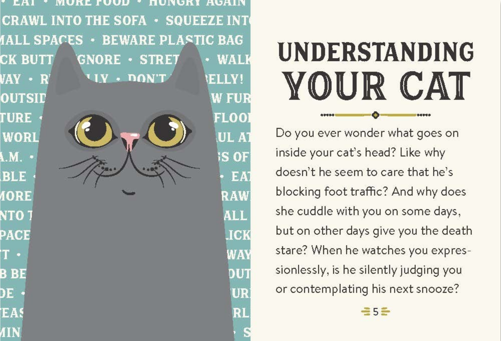 Book cover with a cat illustration and text about understanding cats on a blue background.