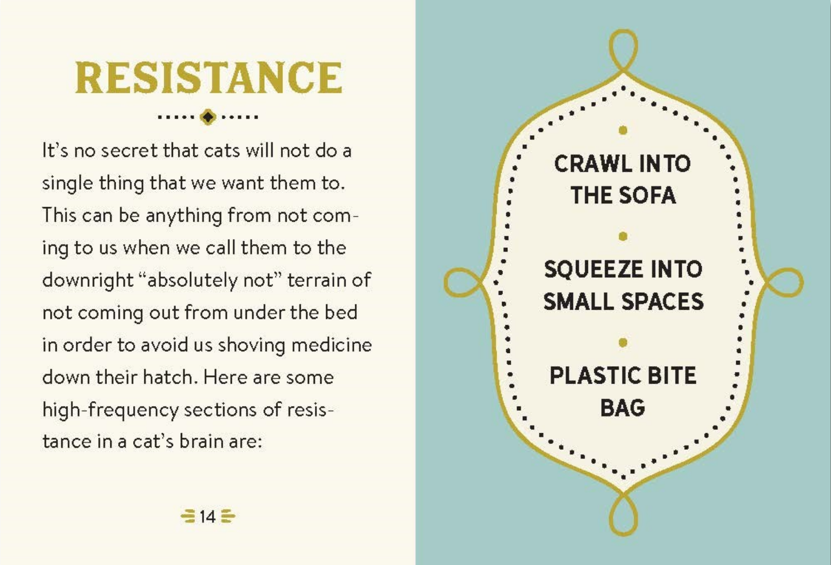 Text on resistance in cats with a decorative element on a light blue background