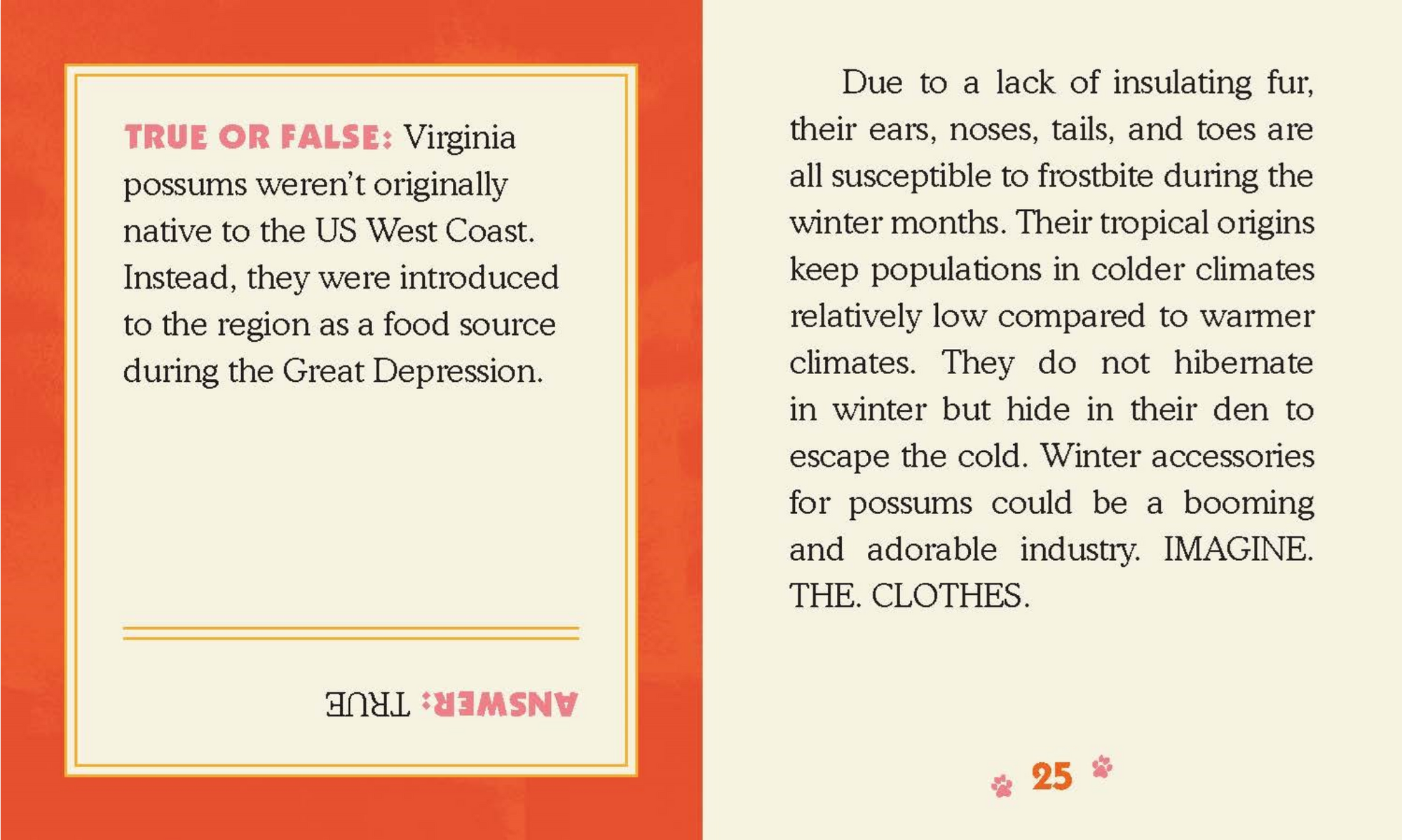 The Screaming Possum: With sound!