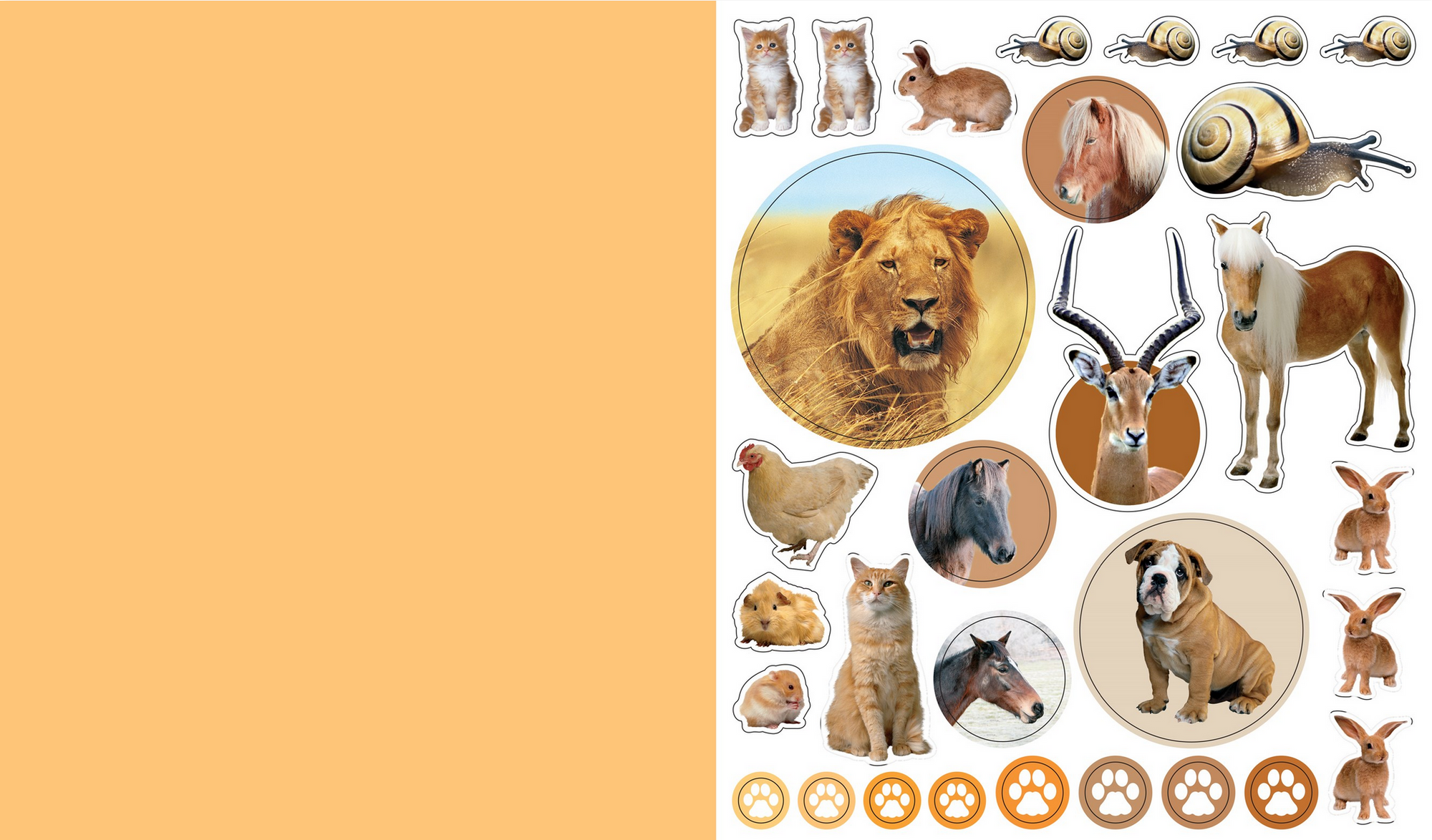 Collection of animal stickers on a beige background