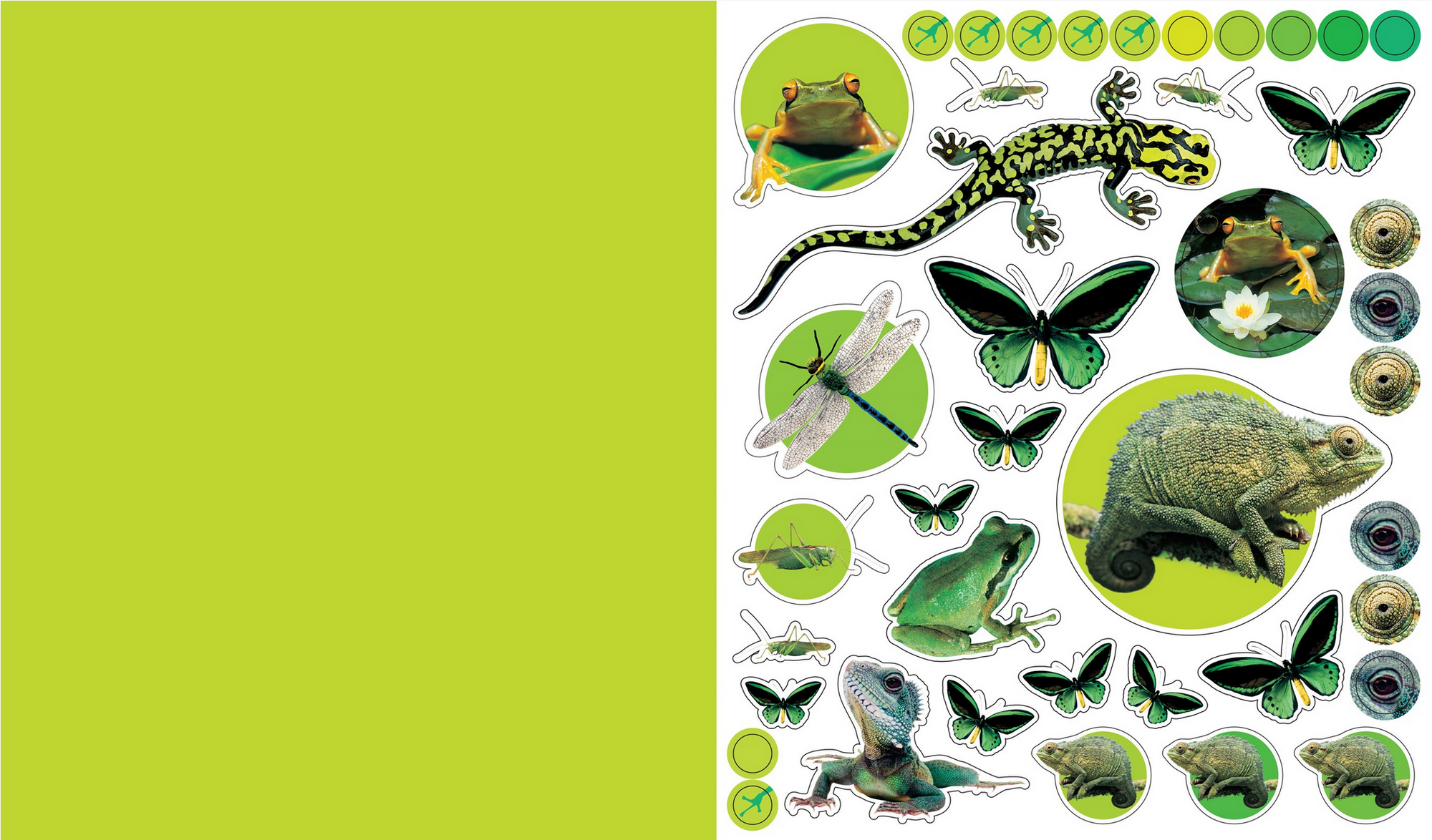 Sheet of nature-themed stickers featuring animals on a green background