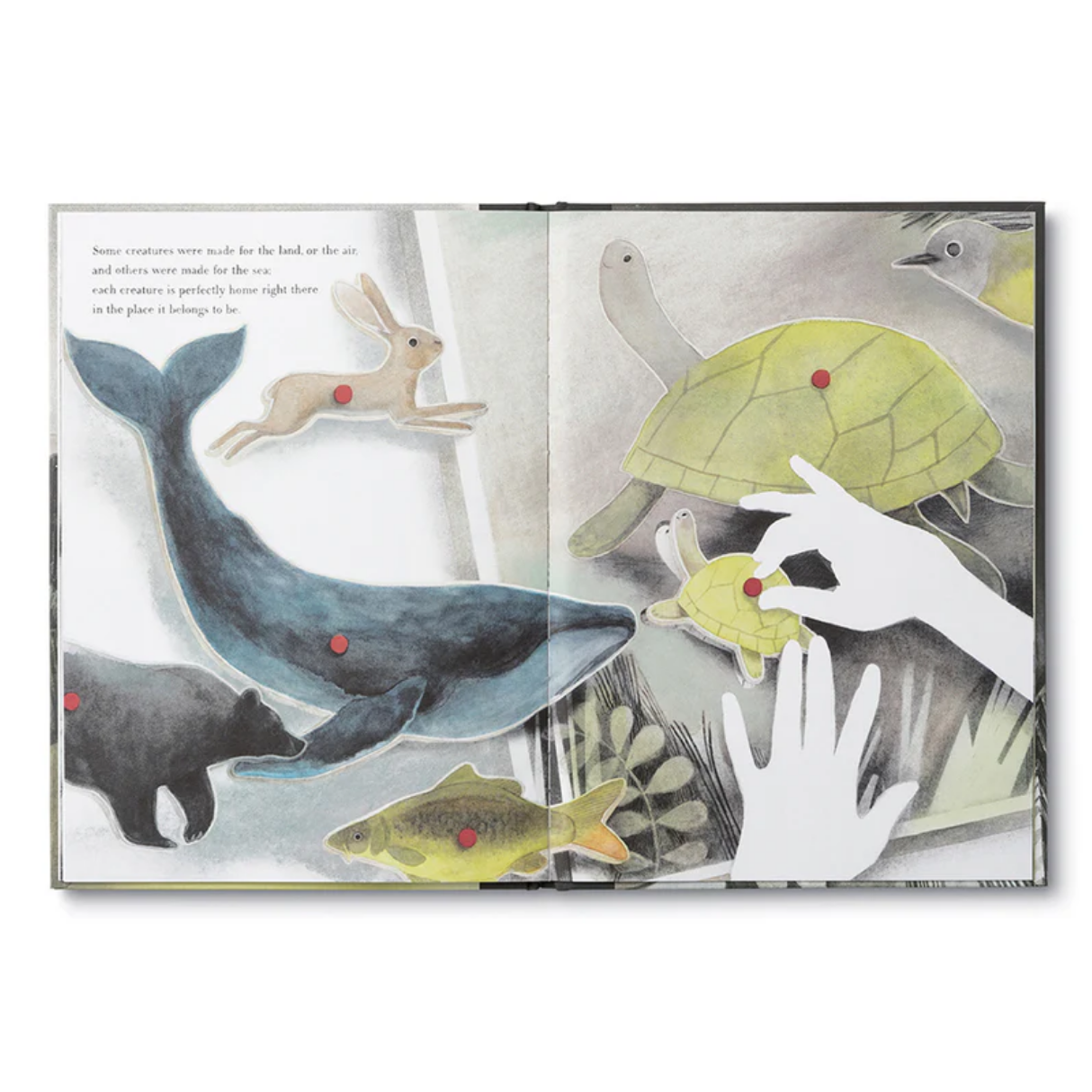 Illustrated book open to two pages showing animals and hands with red dots.