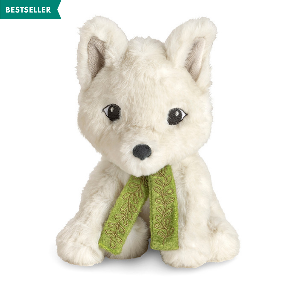 Why Not? Gift Set (website exclusive)