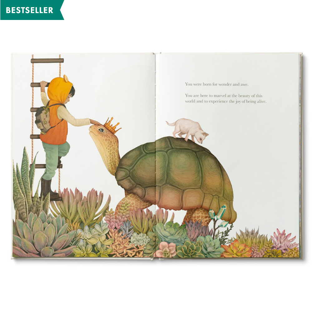 Why Not? Gift Set (website exclusive)