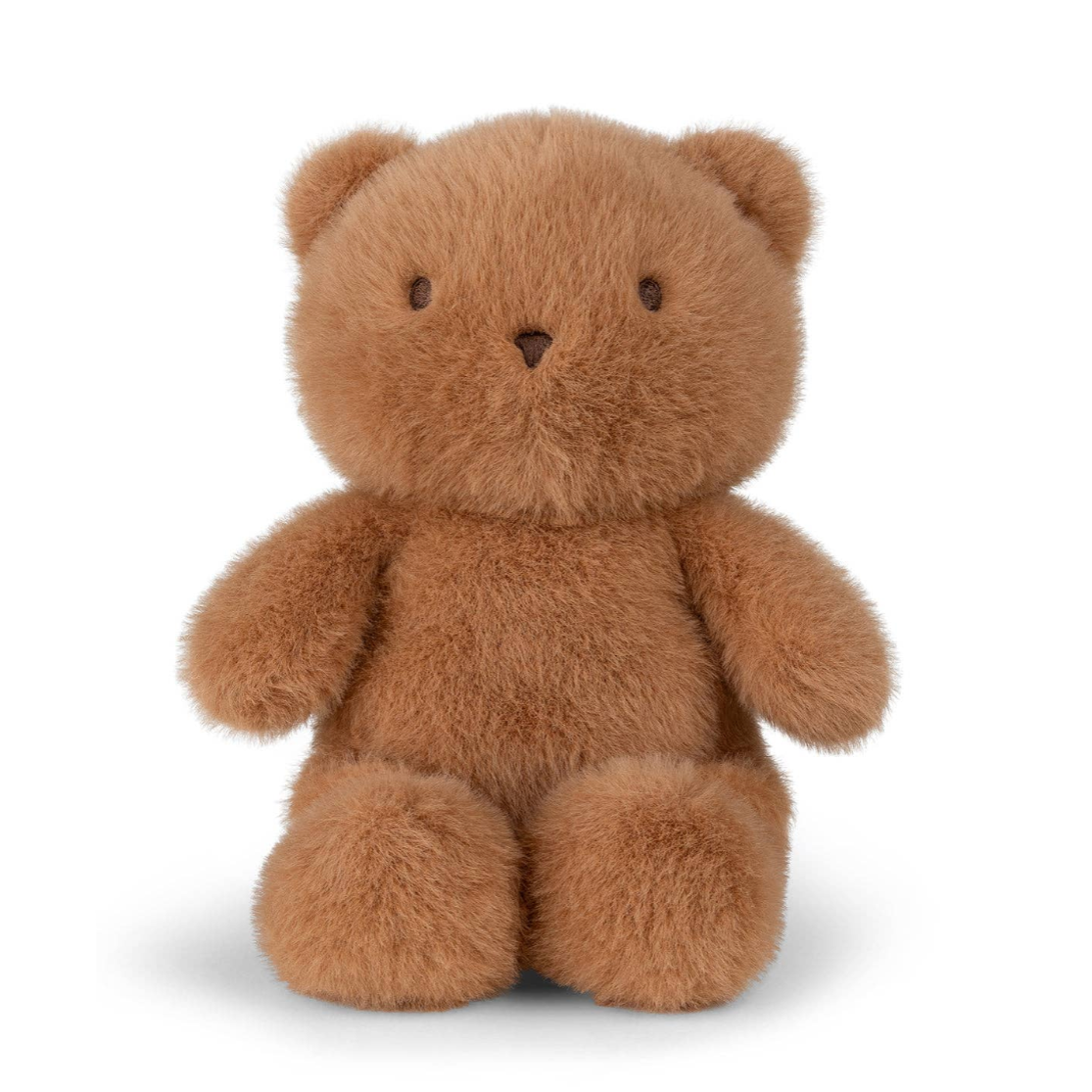 Brown teddy bear on a white background