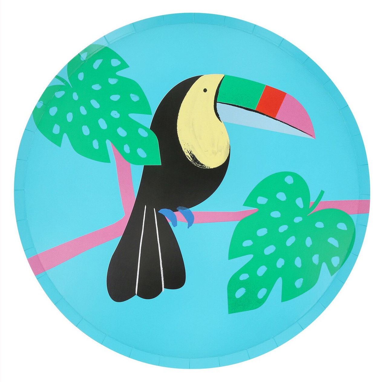 Colorful plate with a toucan design on a blue background