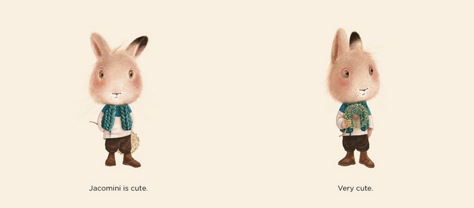 Two plush toy rabbits with different text descriptions on a beige background