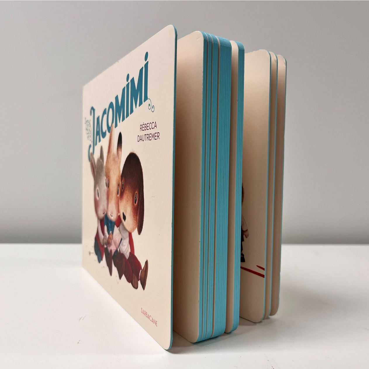 book on a white surface with a gray background