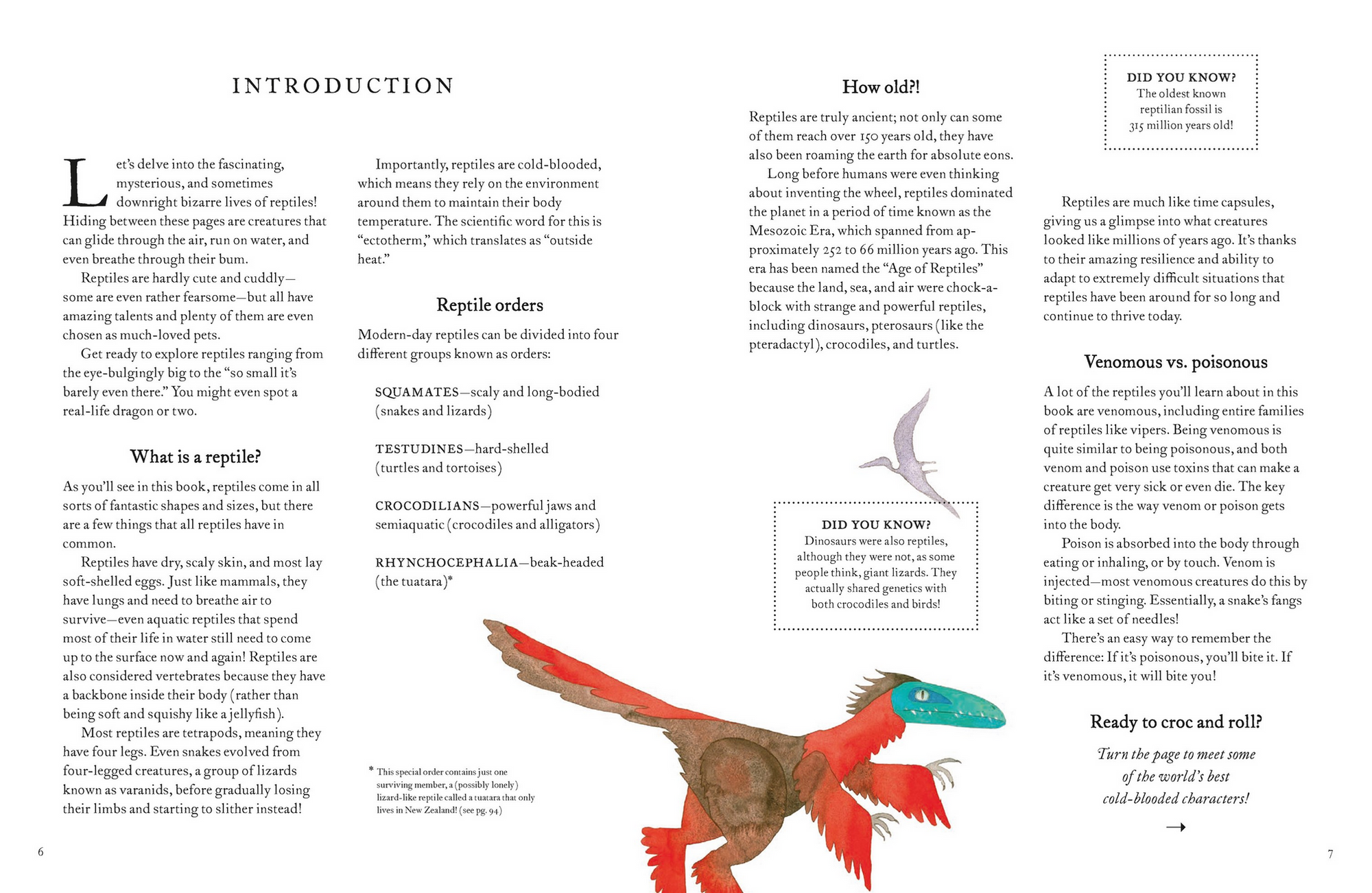 The Colorful World of Reptiles