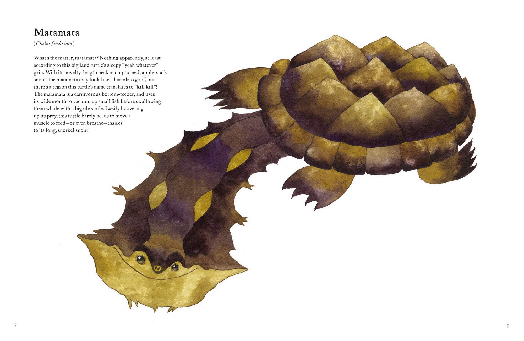 The Colorful World of Reptiles