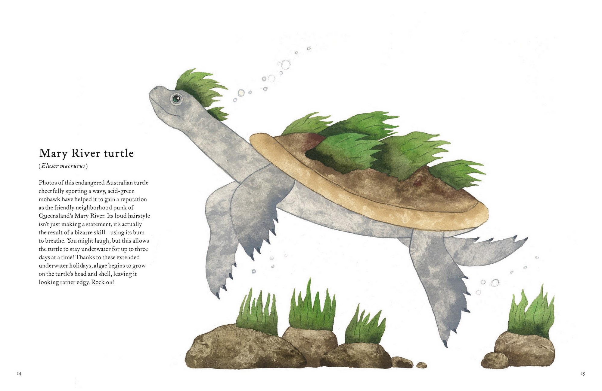 The Colorful World of Reptiles