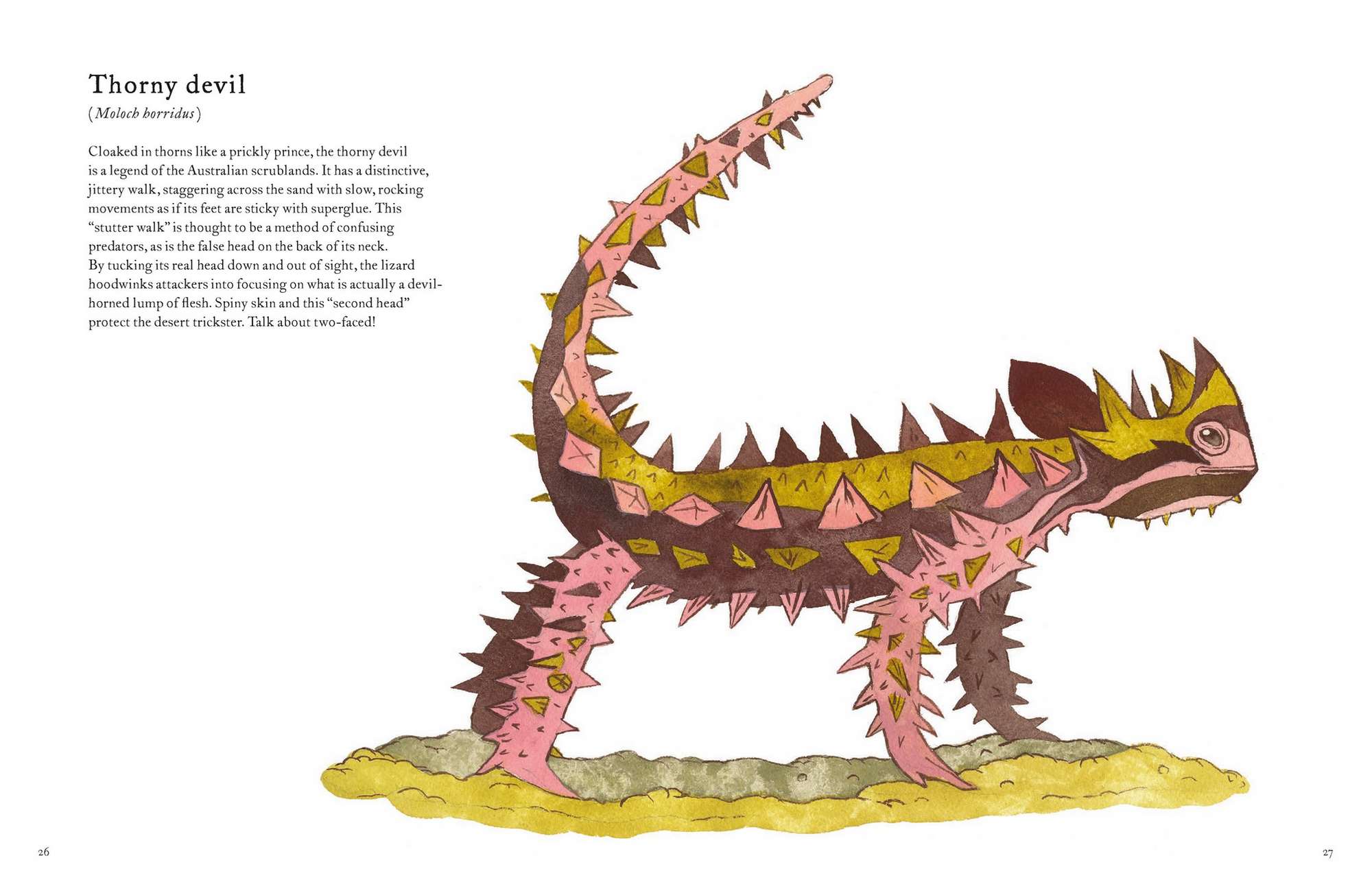 The Colorful World of Reptiles