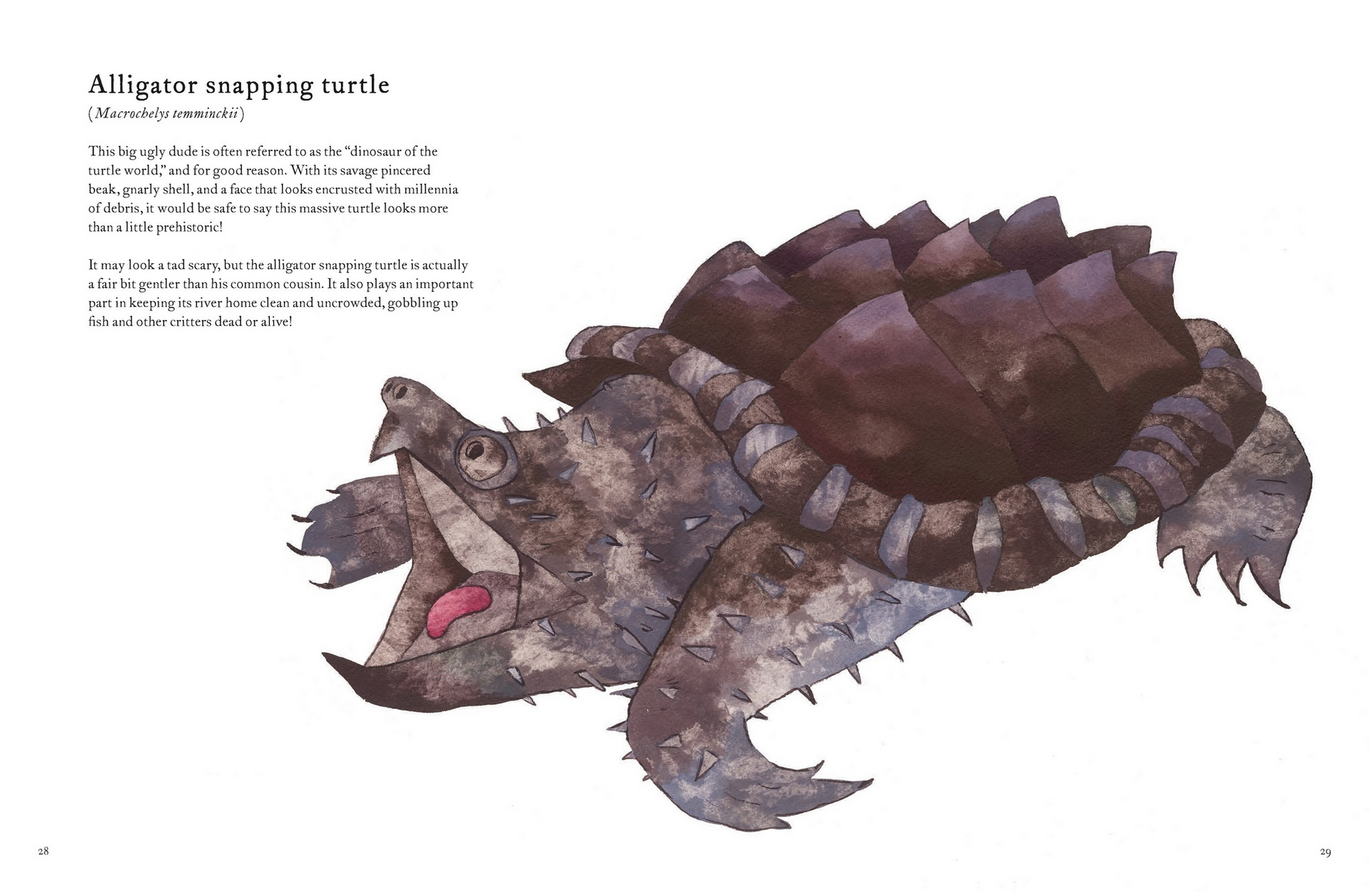 The Colorful World of Reptiles